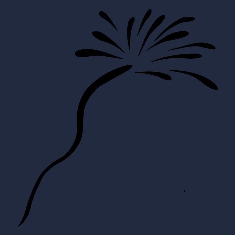 Feuerwerk(1)