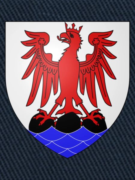 Blason Nice