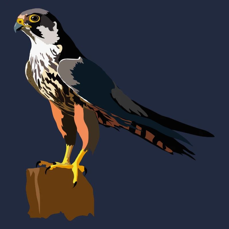 Baumfalke