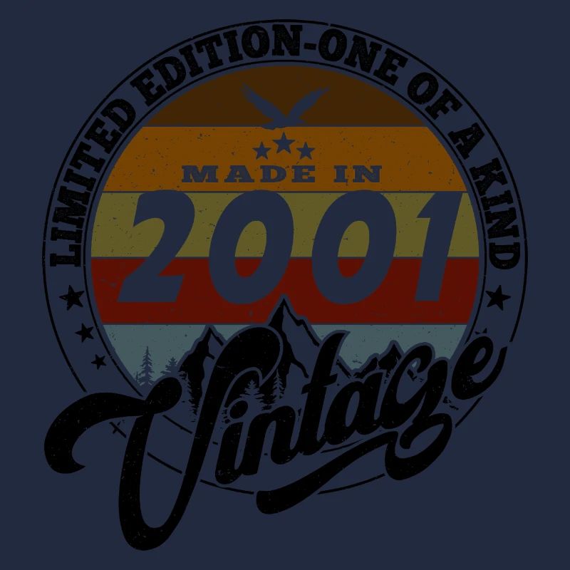 Eleganter Vintage: 2001 Retro Geschenk 2001 2025