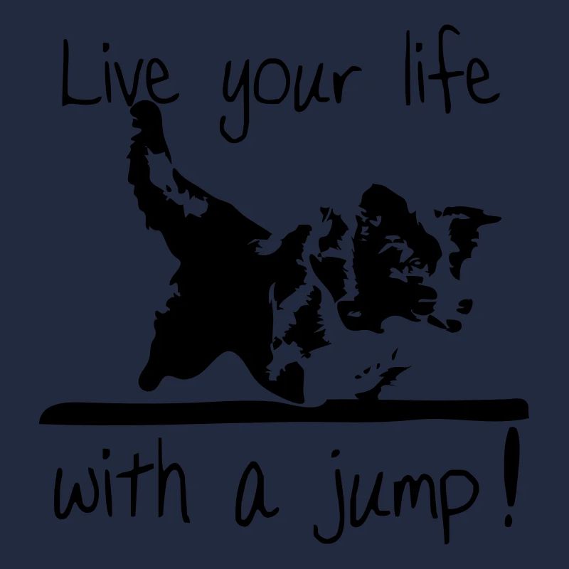 Border Collie - Agility