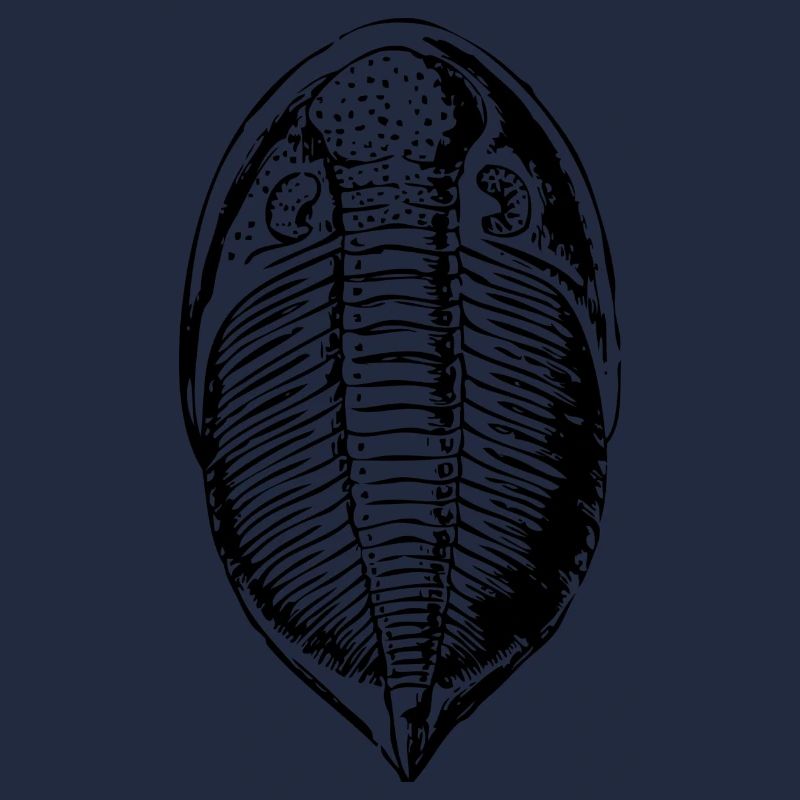 fossil