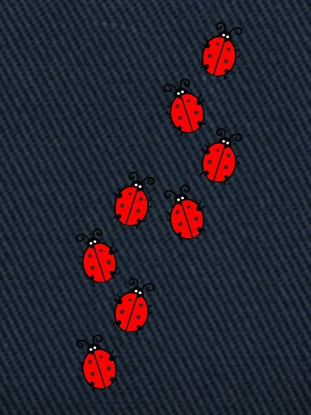 Ladybug