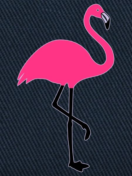 Flamingo summer sun beach