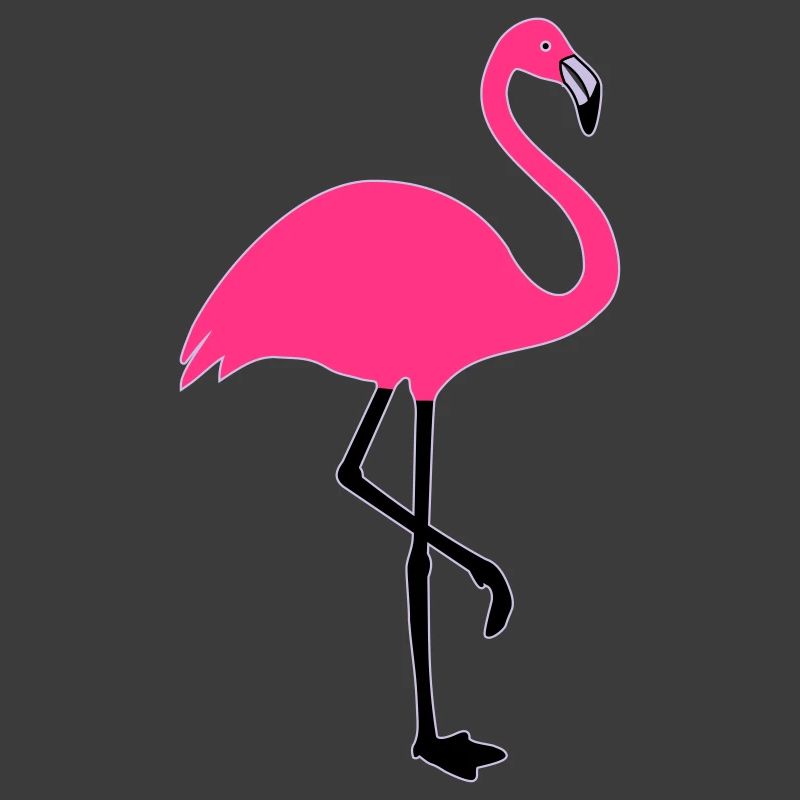 Flamingo summer sun beach