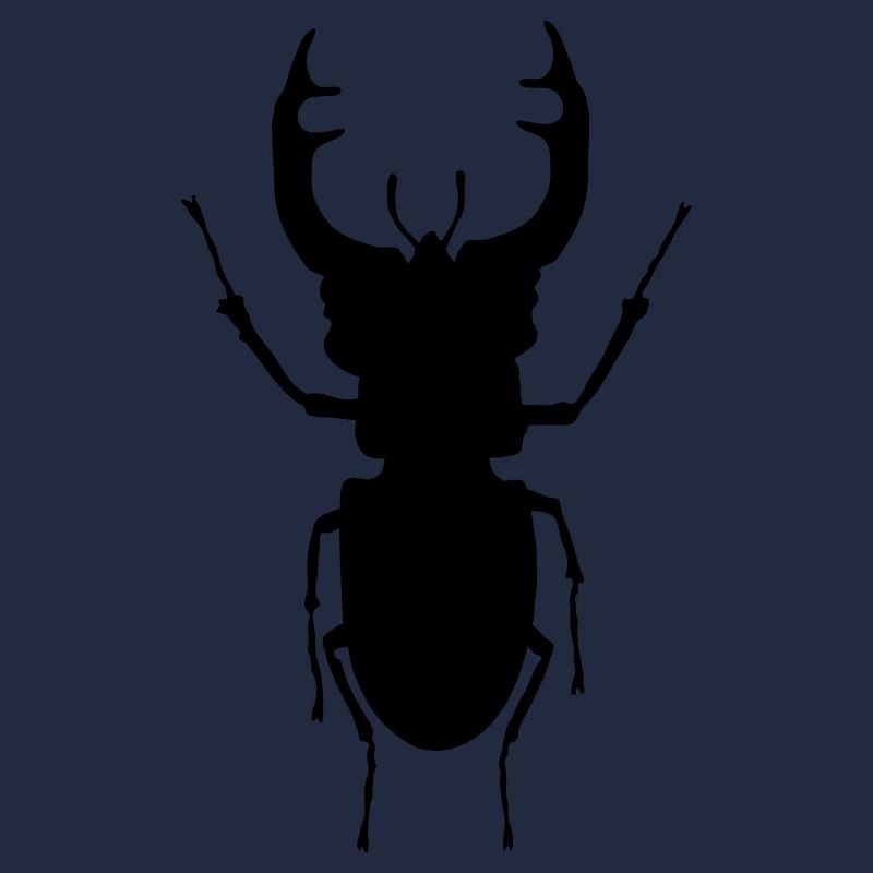 cerf_volant_c1