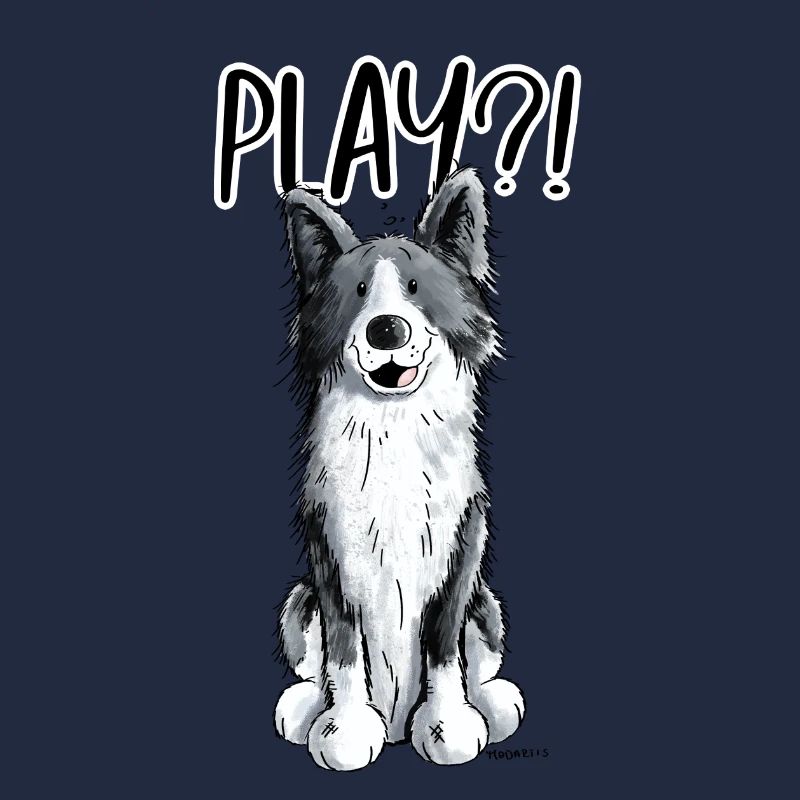 Border Collie Play
