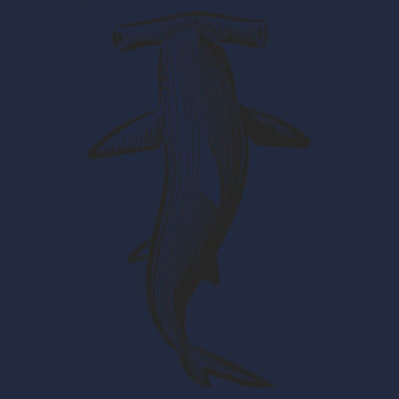 Conception de requin marteau