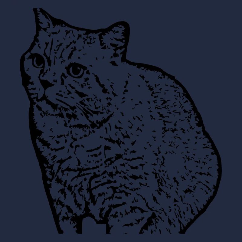 British Shorthair Chat Chat Noir Chats
