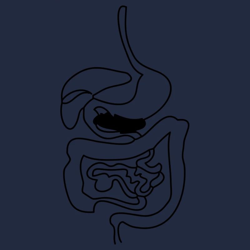 Digestive System