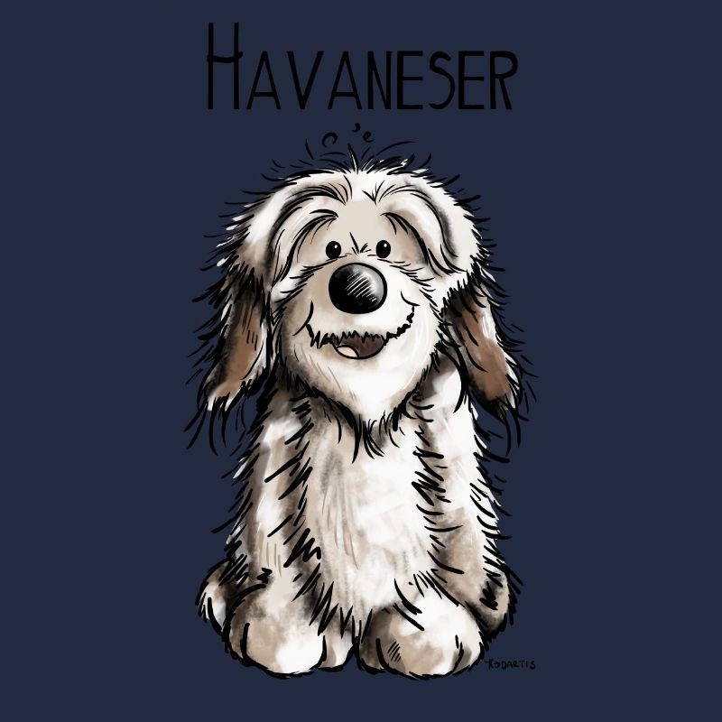 Fröhlicher Havaneser