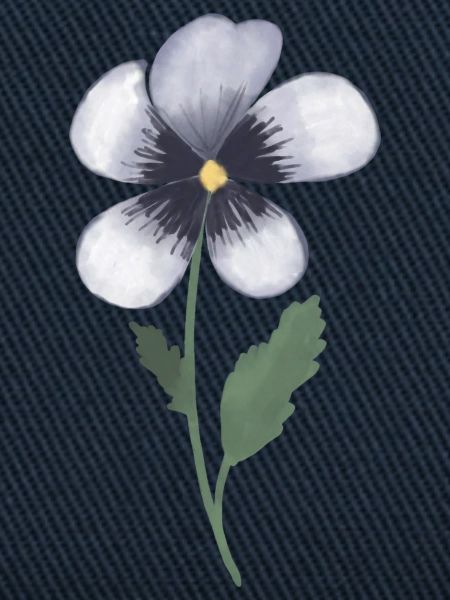 Pansy Violet