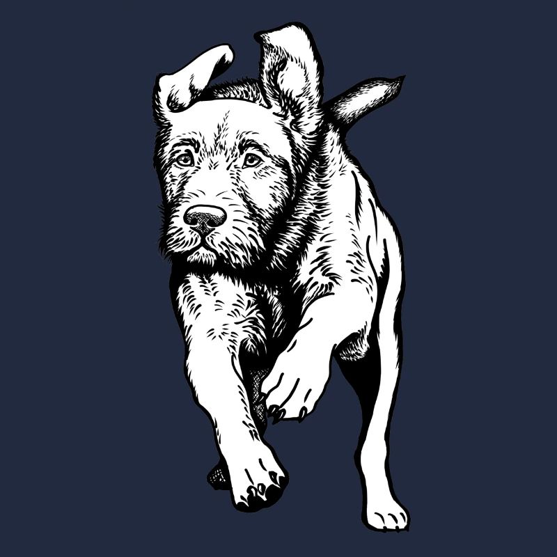 Jagdhunde-Aktion
