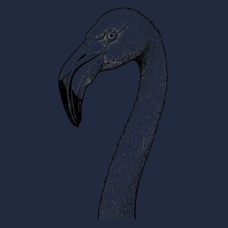 Flamant
