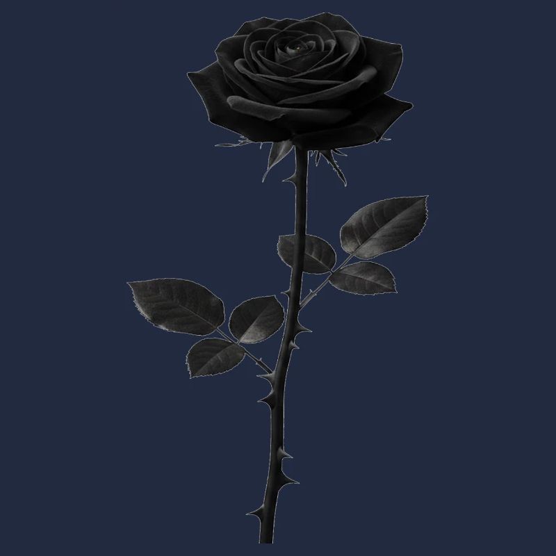 Schwarze Rose Monochrome Grafik