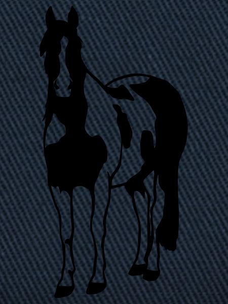 Paint Horse