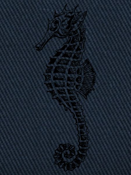 Seepferdchen