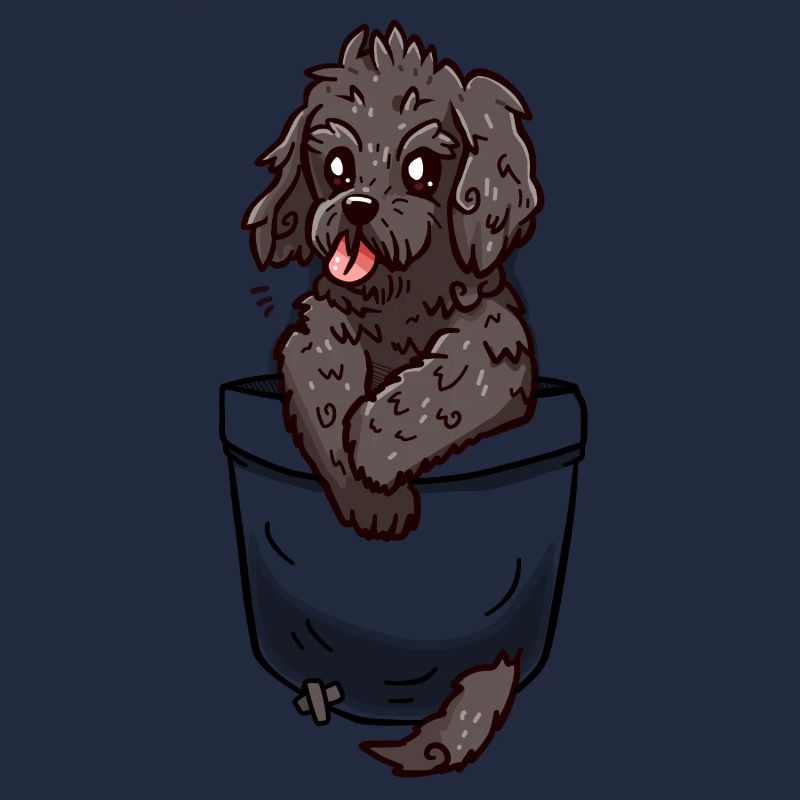 Poche Cockapoo