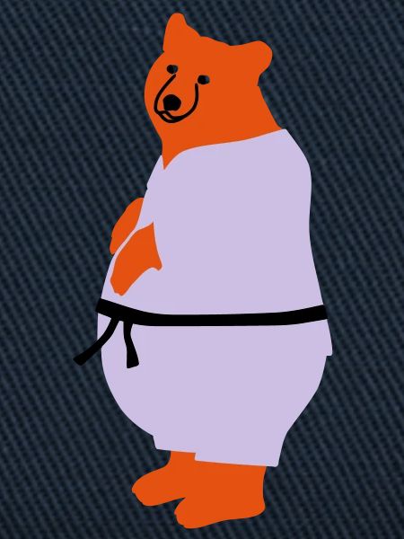 taekwondo bear