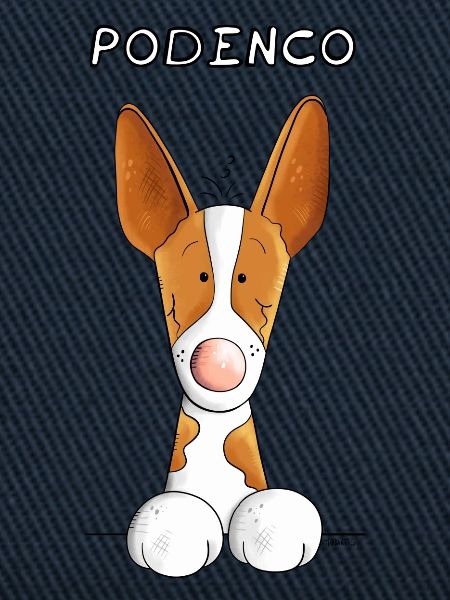 Abenteuerlustiger Podenco