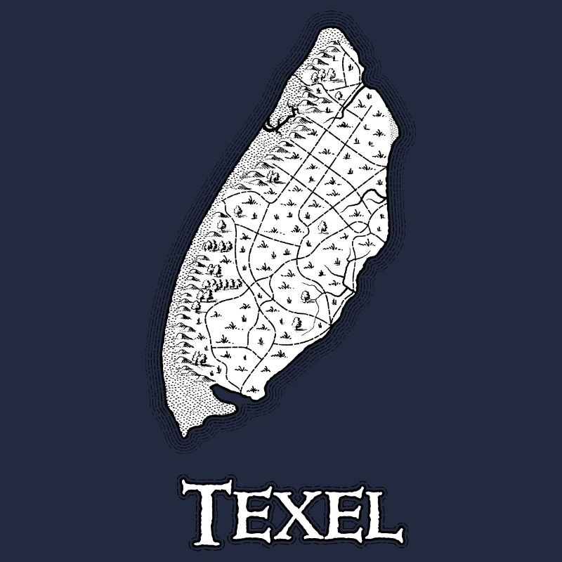 Texel | Antique map | Treasure map