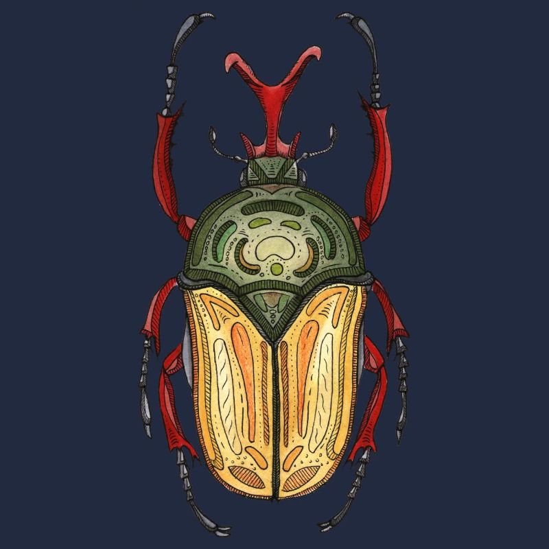 Großer Hirsch - Riesenhirschkäfer