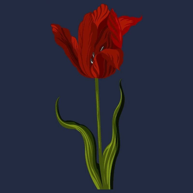 Rote Tulpe