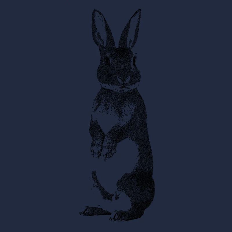 Hase sw