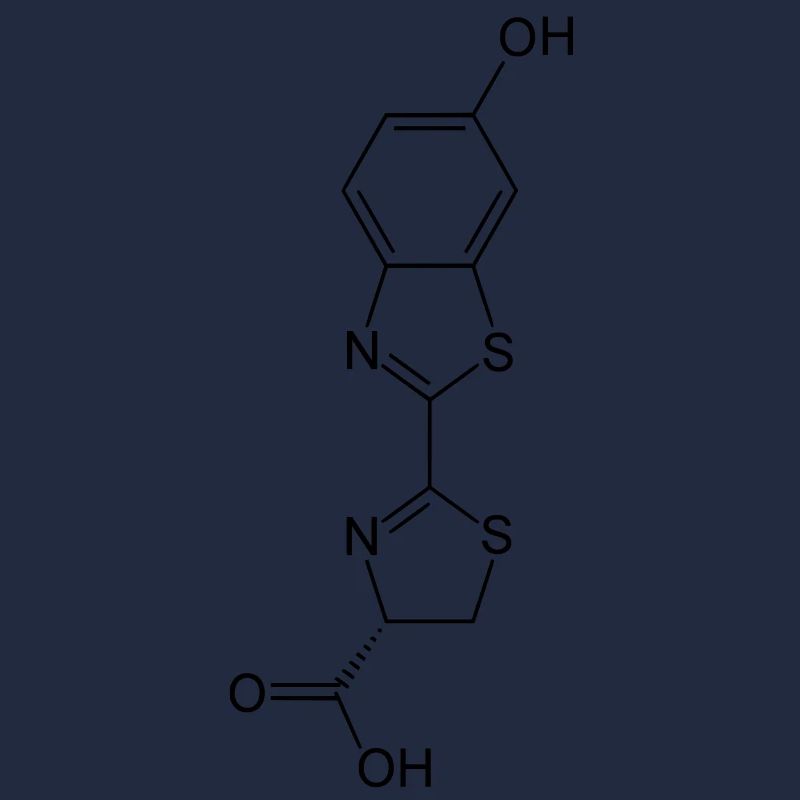 Luminous / Glow in the dark firefly luciferin