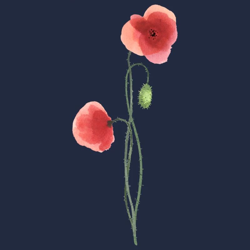 Flower: red poppy