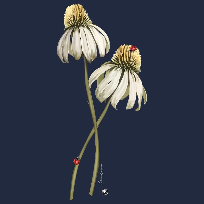 Illustration de la fleur des coccinelles rouges sur échinacée