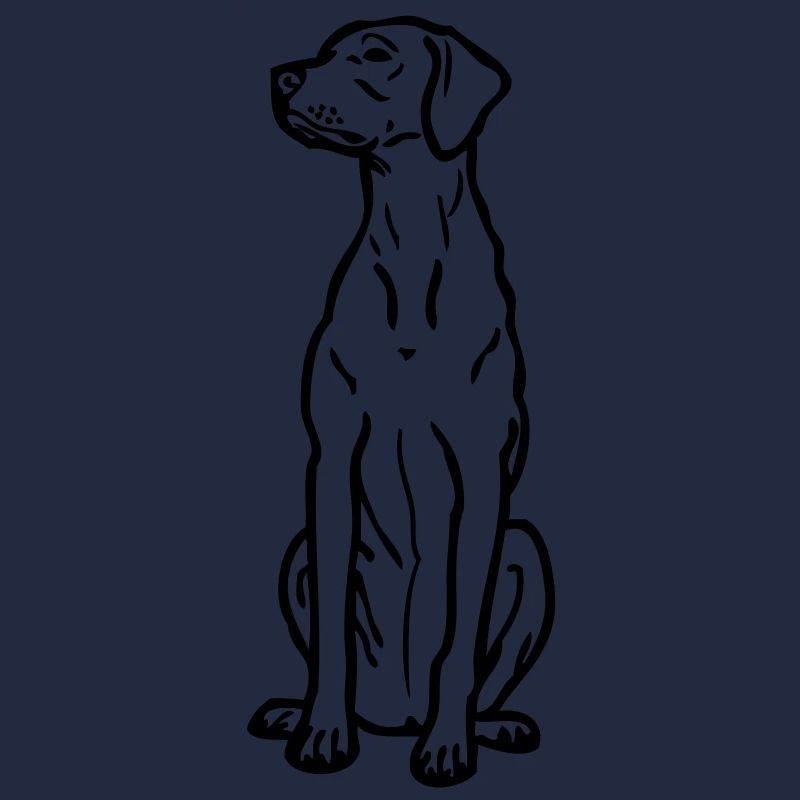 hongarianvizsla_02