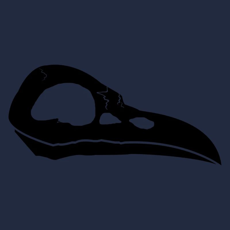 Rabenschädel | Crow Skull