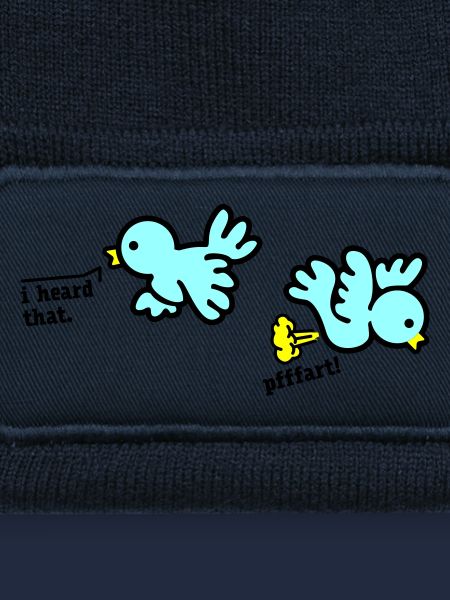 when birds fart