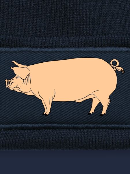 Pink pig