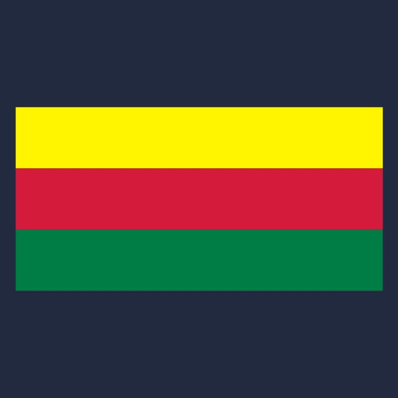 lithuania flag