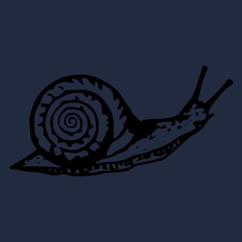 Snail black and withe
