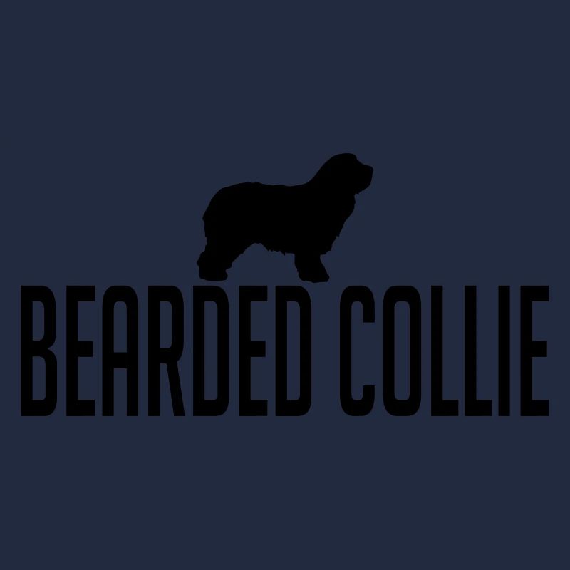 BEARDED COLLIE Hunderasse