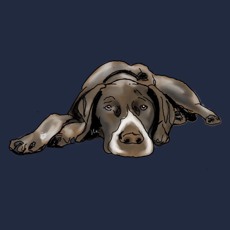 Pointer German Shorthair