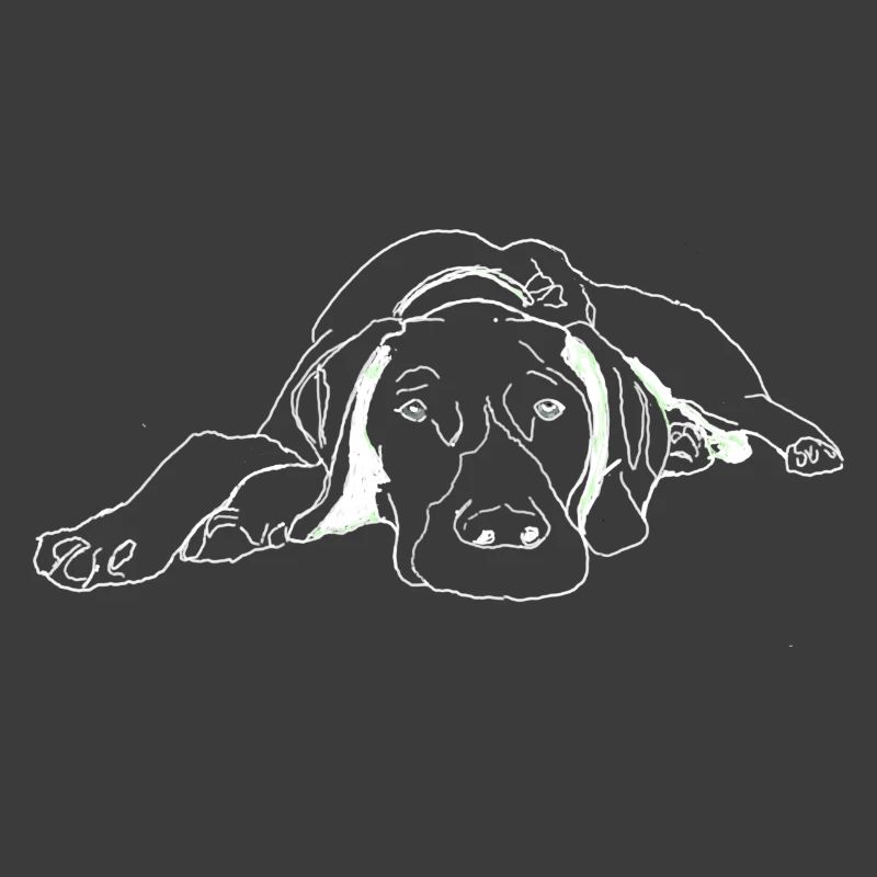 Pointer Deutsch Kurzhaar