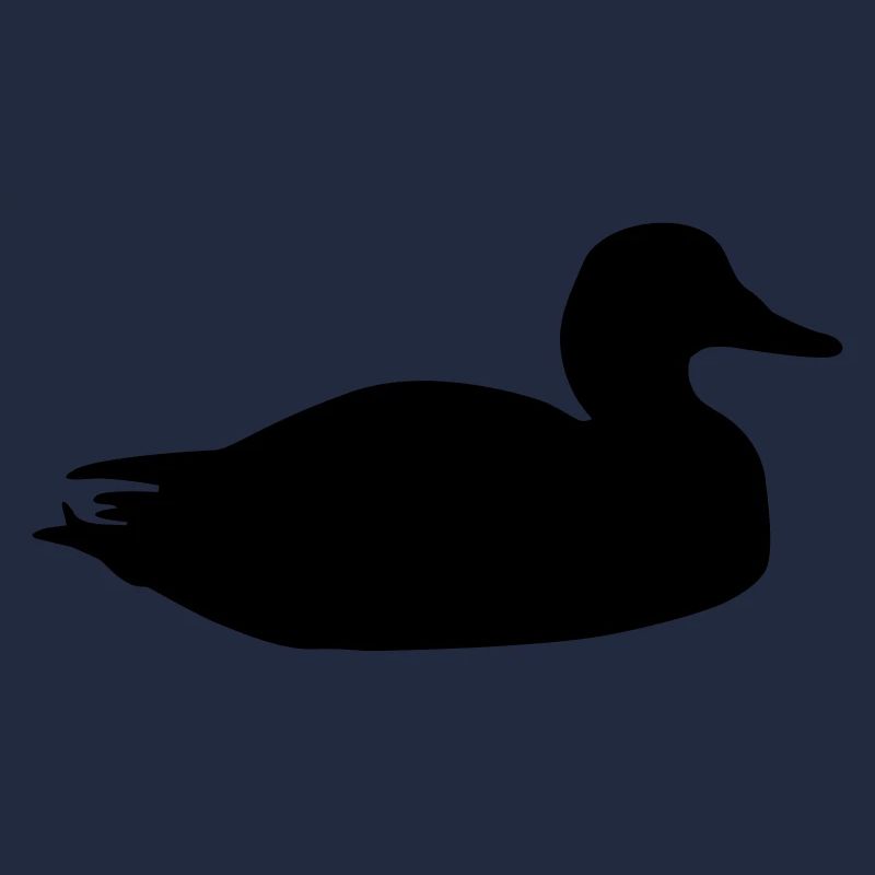 duck_f1