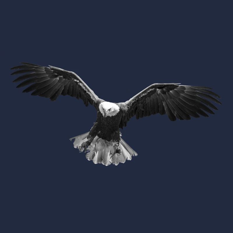 Adler