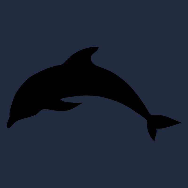 Delfin Tier Meer