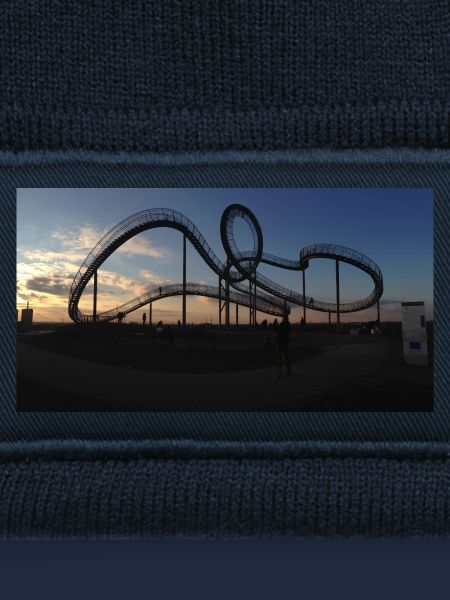 Tiger & Turtle