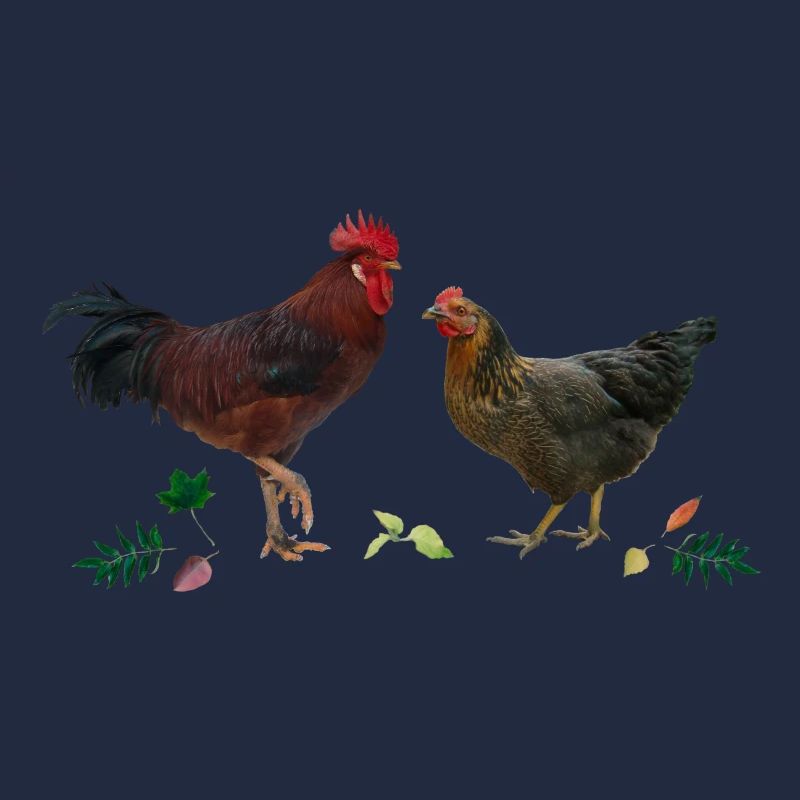 Rooster and chicken