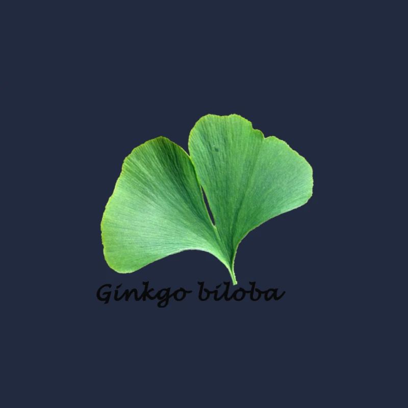 Ginkgo biloba