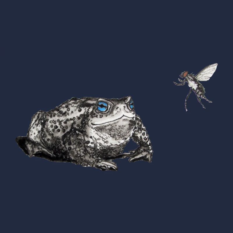 Toad and fly