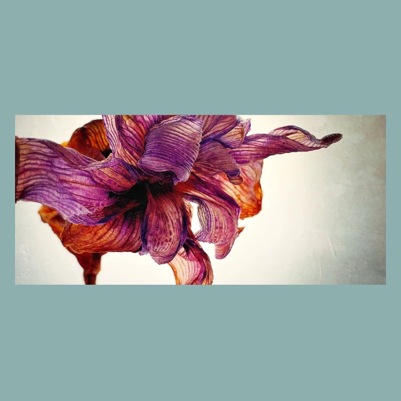Verwelkte Blume
