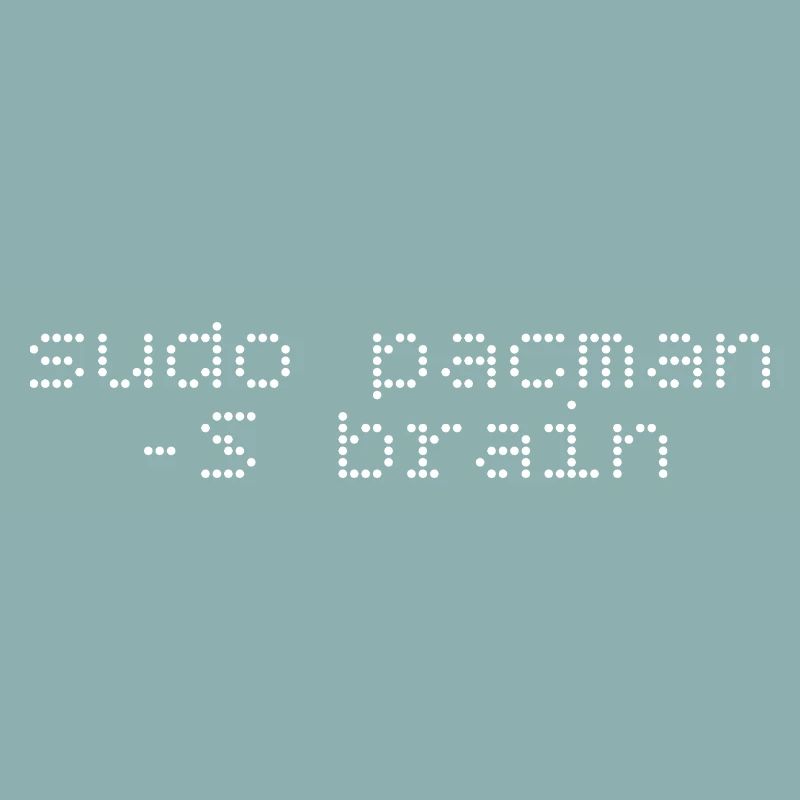 Installation sudo -S cerveau