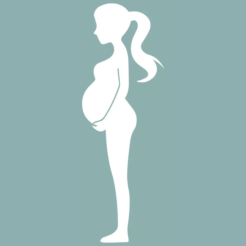 Kvinde Graviditet Silhuet